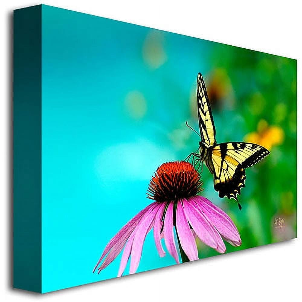 Trademark Fine Art "Butterfly on the Edge" Canvas Wall Art by Lois Bryan