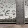 thumbnail image 6 of Surya Bahar BHR-2309 Area Rug 7'10" x 10'3", 6 of 7