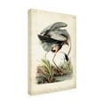 thumbnail image 3 of Trademark Fine Art John James Audubon Blue Heron Portrait Canvas Wall Art - 12x19, 3 of 5