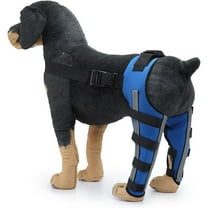 HQREA Dog Hind Leg Brace Support, Reflective Dog Knee Brace for ACL Prevent Licking
