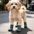 thumbnail image 4 of Dog Boots with Non- Sole Outdoor Protector Pet Shoes for Small Medium Large Dogs Breathable Paw Wear with Reflective Strips for Walking Hiking 11.8" (Sky Blue), 4 of 6