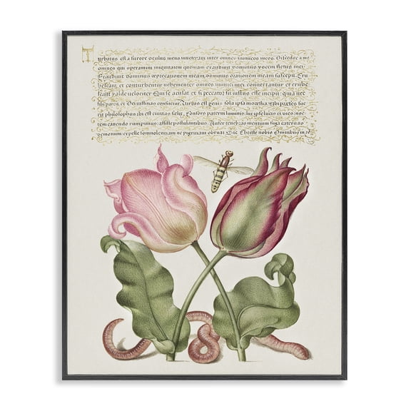 Stupell Industries French Country Tulips & Insects Antique Black Framed Giclee Art, 11 x 14, by Melissa Wang