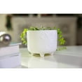 thumbnail image 5 of Flora Bunda 6IN & 4.75IN Evil Eye Ceramic Footed Planter,Set of 2, Matte White, 5 of 9