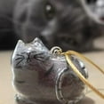 thumbnail image 4 of Cat Hair Keychain,Cat Hair Storage Bottle Keychain,Pet Fur Keepsake,Cute Pet Memorial Gifts, 4 of 8