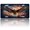 Bald Eagle US Flag, variant on USA 250th Anniversary License Plate, Personalized Crying American Car Front License Plate Cover, Car Decor Accessory Stainless Aluminum Metal Rust-Proof Car Plate Novelty Vanity Tag 6 X 12 Inch