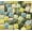 Green Mix, variant on 200 Pieces Ceramic Mosaic Tiles – 0.4x0.4", for Crafts, Mosaic Projects, Color Mix, Available in 8 Color Options (Purple, Full Color, Coffee, Red/Orange, Green, Blue, Black/White/Gray, Treasure Blue)