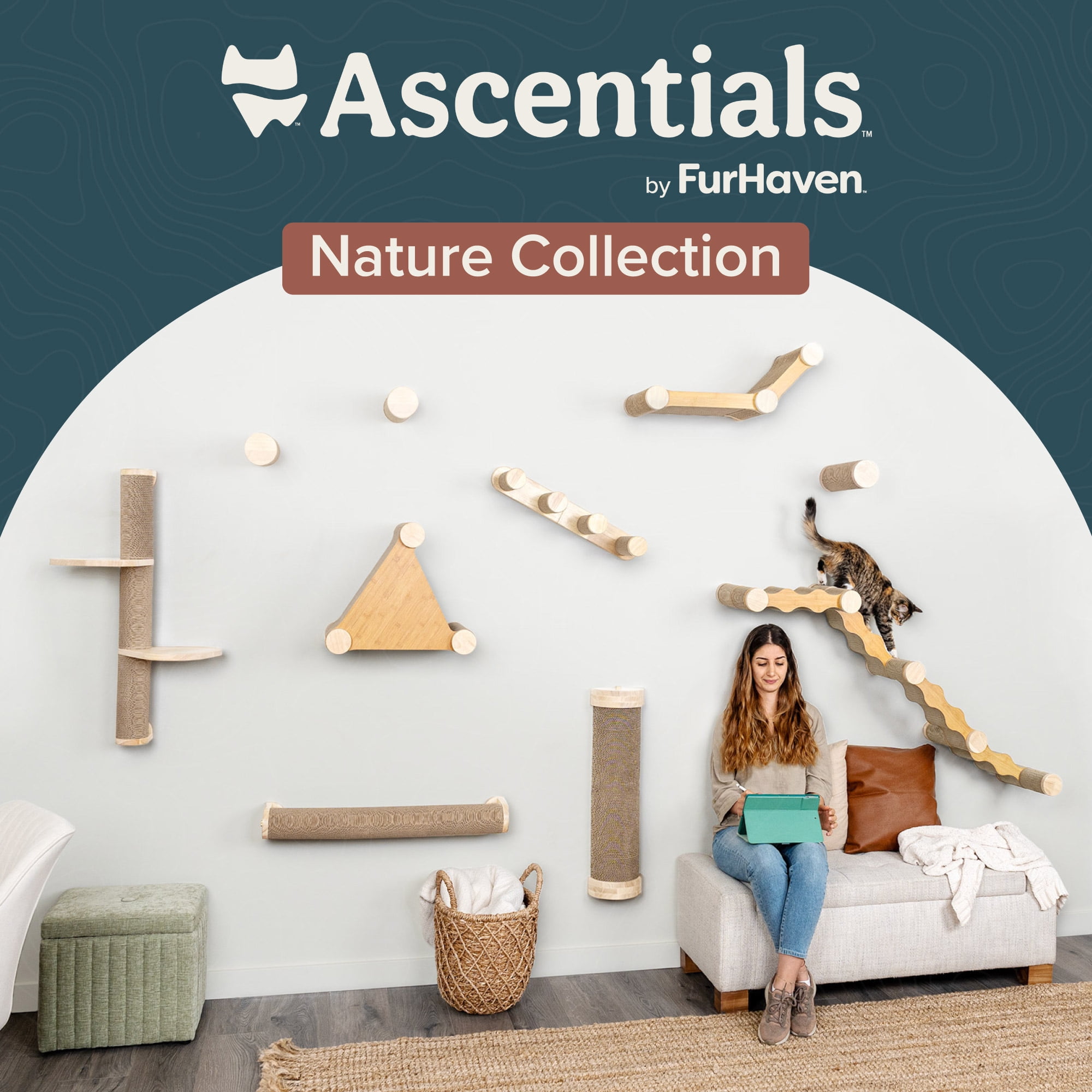 Ascentials by FurHaven Cloud Climber Cat Stairs (24”), Wall-Mounted Four Step Stairway and Perch with Corrugated Cardboard