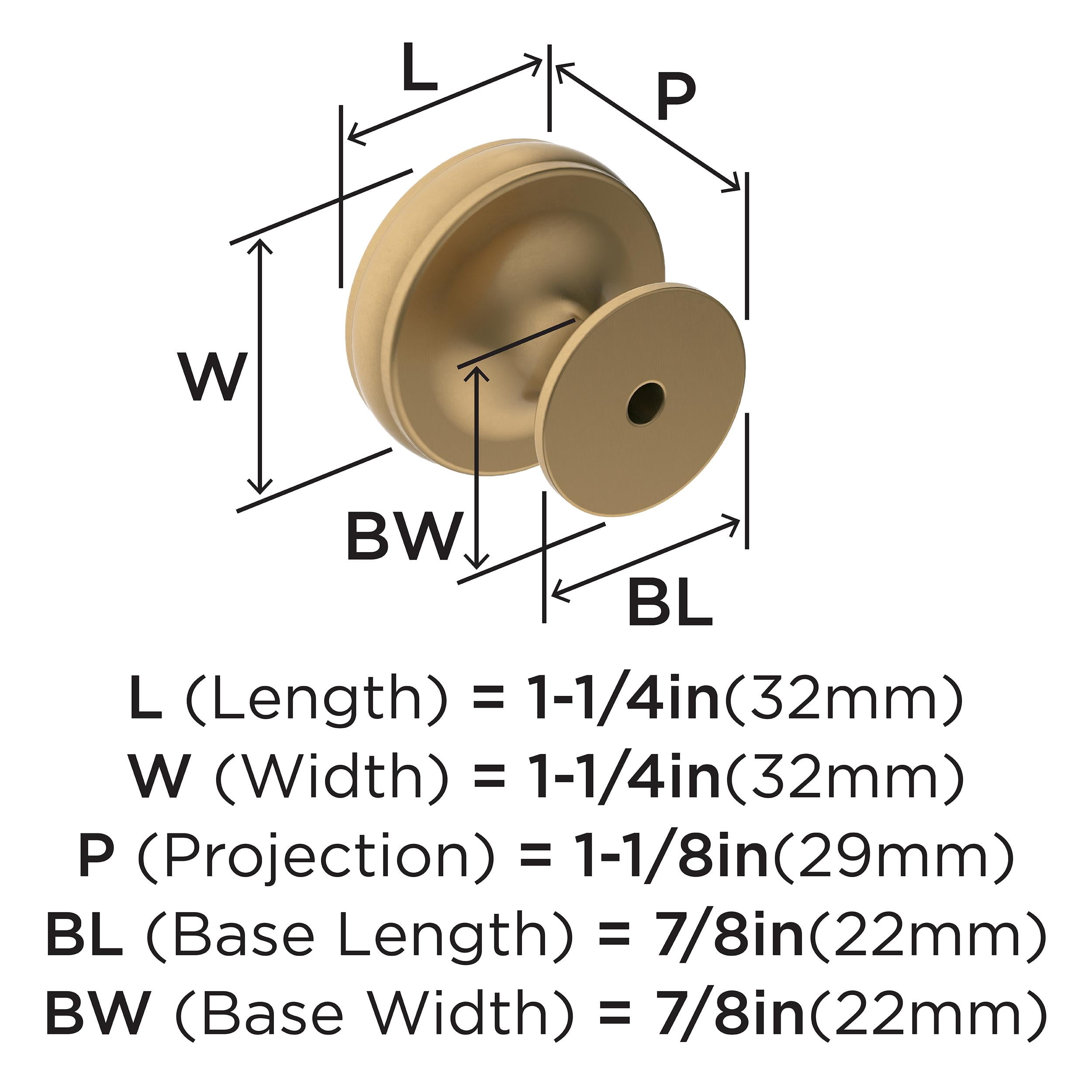 Amerock Renown 1-1/4 inch (32mm) Diameter Champagne Bronze Cabinet Knob, 5 Pack
