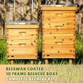 thumbnail image 2 of Kit de colmena ThxBees de 10 cuadros, madera recubierta con cera de abeja, 2 of 9