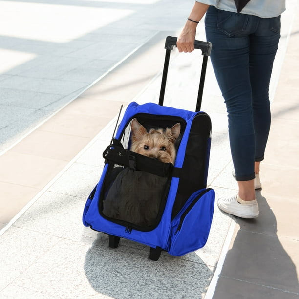 PawHut Caisse de transport pour chat avec roulettes et poignée