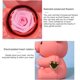 thumbnail image 4 of Caja de oso rosa real preservada | Caja de rosas de flores eternas | Caja de rosa y oso real preservada | Caja de regalo de oso rosa | Rosa roja para siempre en caja de oso | Joyero de rosas para Navi, 4 of 6