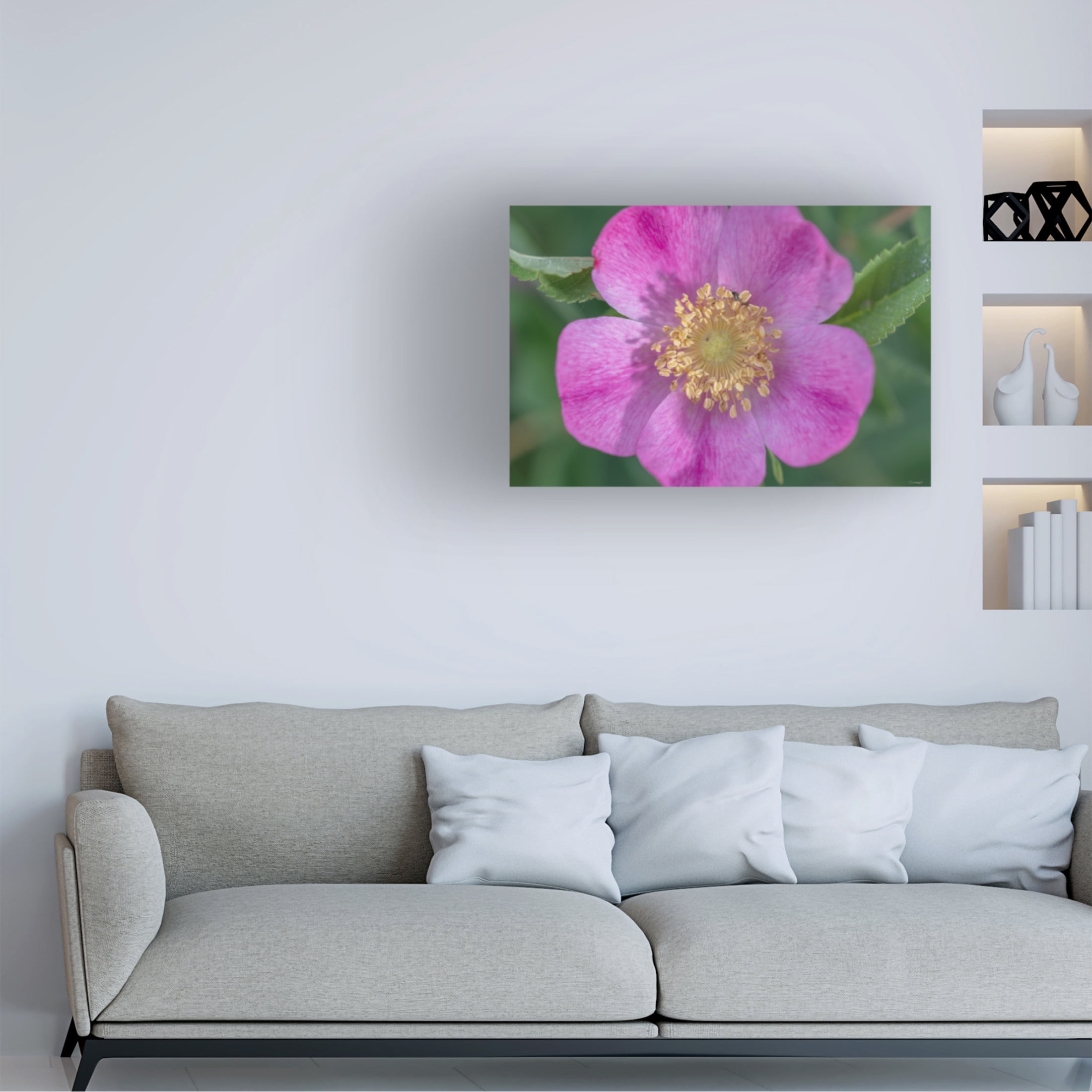 Canvas Wall Art - Gordon Semmens 'Textures 16' Wall Art for Living Room, Bedroom, or Office Décor by Trademark Fine Art - 47 x 30 Inches