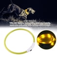thumbnail image 4 of Collar De LED Recargable, Luces De Caminar Para Perros Brillantes Luces De Cuello Para Perros Para Perros Para Caminar Por La Noche Silicona Collar De Suave Para, 4 of 7