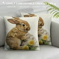 thumbnail image 3 of Nawypu Easter Bunny Pillow Covers Rabbit Spring Happy Easter Gray Cushion Covers Farmhouse Holiday Watercolor Spring Welcome Pillow Cases for Sofa Couch Living Room Bed Office Patio Bench, 3 of 5