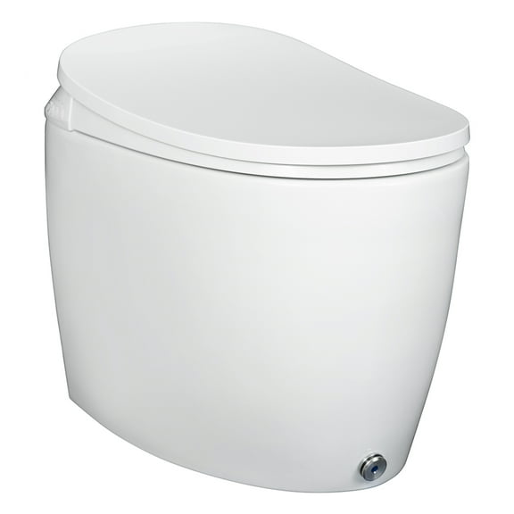 Foremost Massa Intelligent Toilet