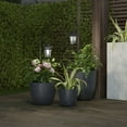 thumbnail image 6 of Pure Garden Set of 2 Waterproof LED Solar Lanterns with Shepherd Hooks, 6 of 6