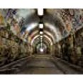 thumbnail image 3 of Wall Rogues WR50554 Graffiti Tunnel Mural, Brun, 3 of 5
