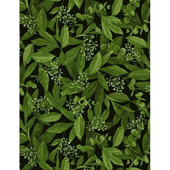 Timeless Treasures Leaves & Buds Black 100% Cotton Fabric sold by the yard