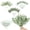 A, variant on 74 Pcs 9 Kinds Mixed Artificial Eucalyptus Stems and Faux Flowers,Fake Silver Dollar Eucalyptus Leaves Stems Bulk Real Touch Leaf Branches for DIY Bouquets Floral Arrangement Wedding Home Decor