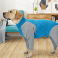 thumbnail image 2 of GASTROPOD Dog Recovery Suit,Easy Access for Bathroom Breaks Dog Costume,Fast-Drying Cat Costume, 2 of 4