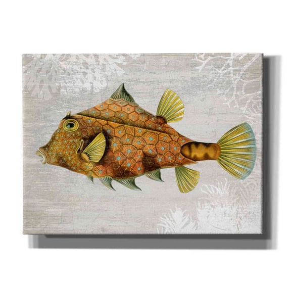 Epic Graffiti 'Gold Turret Fish' by Fab Funky Canvas Wall Art, 16"x12"