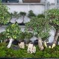 thumbnail image 2 of CUITING 6 Pcs Mini Stone Landscaping Cherry Blossom Branches Pea Gravel Micro Scene, 2 of 8
