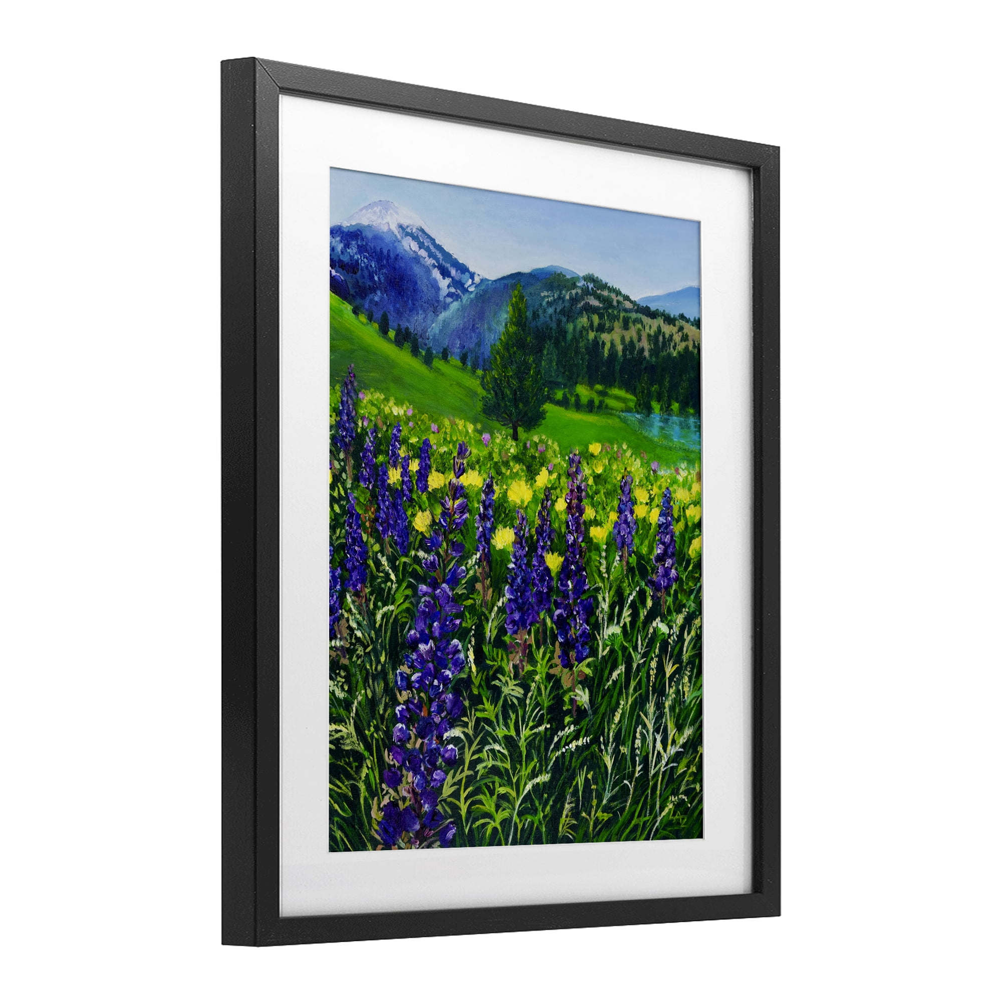 Stupell Industries Flower Speckled Valley Black Framed Print Under Glass, design by Lee Ann Zirbes