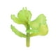 thumbnail image 1 of Plantas Suculentas Falsas Yuarrent 10 Piezas PVC, 1 of 6