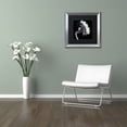 thumbnail image 4 of Michael Harrison 'Sunflower' Black Matted Framed Art, 4 of 5