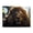 500 Pieces, variant on Lion Mane Portrait Wild Cat 500-Piece Wooden Jigsaw Puzzle for Adults, Fun & Challenging Family Brain-Teaser, Perfect Home Decor & Gift