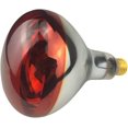 thumbnail image 3 of Heat Lamp Bulb R W Painted Infra Glass Bulb for Food Service Brooder Bulb Chicks Pet Bathroom Light Therapy Reptiles and Amphibian Use E Base, 3 of 7