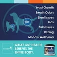thumbnail image 2 of Probiotics for Dogs & Cats | Probiotic Miracle | 120 Servings | Concentrated Digestive Health Powder Supplement, Nusentia, 2 of 7