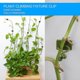 thumbnail image 3 of Plant Holder, Plant Climbing Wall Clamp, Green Vine Clip For Garden Wire For Climbing Plants (100 Pieces Green), 3 of 5