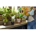 thumbnail image 3 of Miracle-Gro Cactus, Palm & Citrus Soil, Great for Succulents, 8 qt., 3 of 5