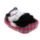 thumbnail image 1 of 2x Durmiente Gato Relleno Felpa Mascota Sonando Juguetes Decoración Para El Hugo Juguetes de animales de peluche, 1 of 10