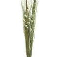 thumbnail image 4 of 40" Handmade Tall Floral Bouquet Dried Plant Natural Foliage Branch Bouquet with Grass Stems, by DecMode, 4 of 7