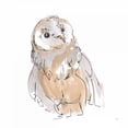thumbnail image 2 of Paschke, Chris 15x15 White Modern Wood Framed Museum Art Print Titled - Barn Owl V, 2 of 4