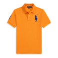 thumbnail image 1 of Short Sleeve Polo Shirt Men's Loose Plus Size Lapel Solid Color Cotton Embroidered Shirt, 1 of 3