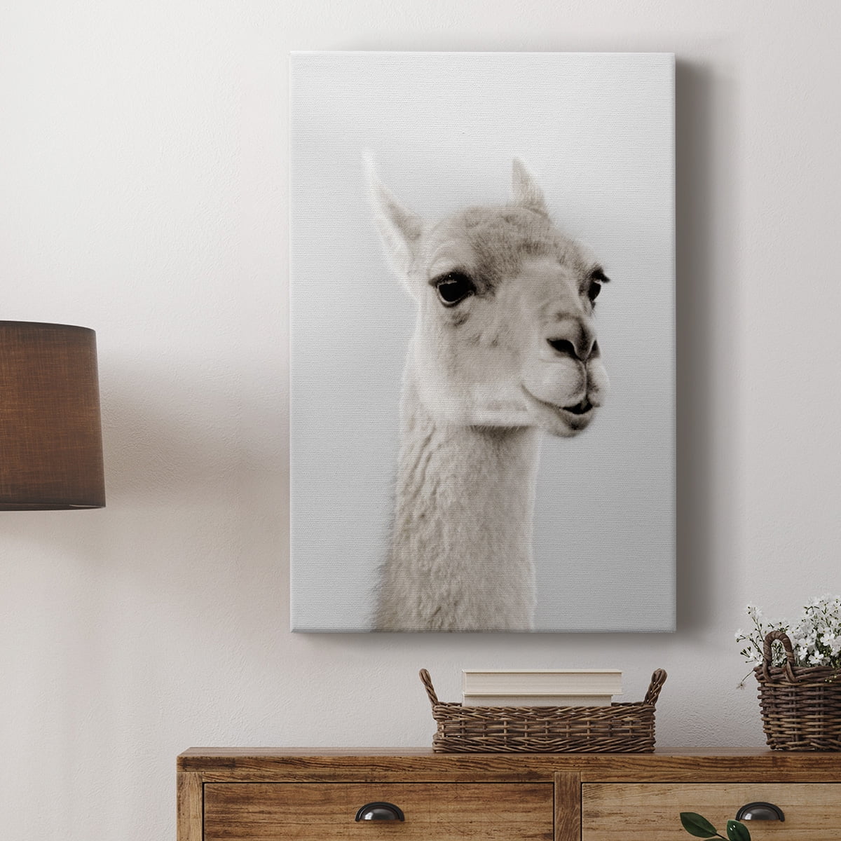 Soft Llama Premium Gallery Wrapped Canvas - Ready to Hang