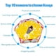 thumbnail image 5 of Tienda de juegos para piscina JM 80 cm con bolsa de almacenamiento, 5 of 5