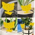 thumbnail image 6 of LQCrafK 60 Pack Plant Sticky Trap Fungus Gnat Traps Killer for Indoor and Outdoor Bug, Fruit Fly Sticky Strips Protect Houseplant, Non-Toxic and Odorless, 6 of 6