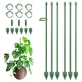 thumbnail image 3 of Plant Stakes, Support Stick, Orchid Stakes with Clips, Garden Plant Poles, for Indoor Outdoor Potted Tomato, Rose, Amaryllis, Vegetables, Monstera, 12.8 Inch, 3 of 5