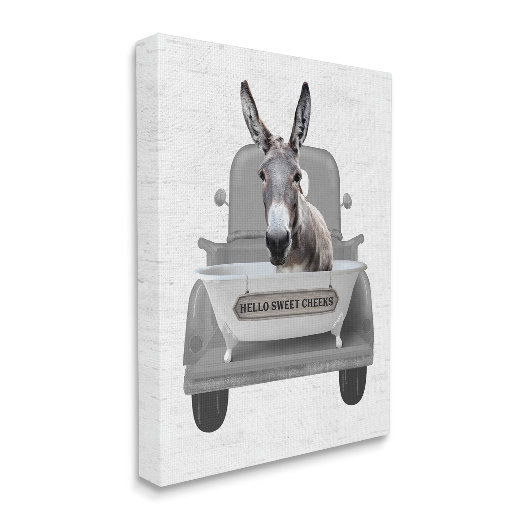 Stupell Industries Hello Sweet Cheeks Donkey Animals & Insects Painting Gallery Wrapped Canvas Print Wall Art, 24 x 30