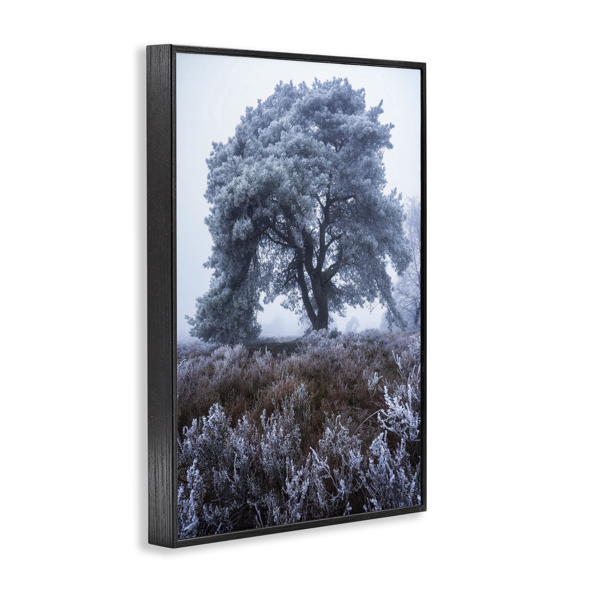 Stupell Industries Frosted Tree in Winter Mist Black Framed Giclee Art, design by Martin Podt