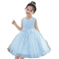 thumbnail image 1 of KAWELL Robe de Fête pour Filles Broderie Sans Manches Arc-en-Ciel Tulle Princesse Dentelle Robe de Bal, 1 of 5