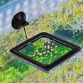 thumbnail image 3 of 2 Pcs Fish Feeding Ring, Fish Safe Floating Food Feeder Circle , with Suction Cup Easy to Install Aquarium,, 3 of 9
