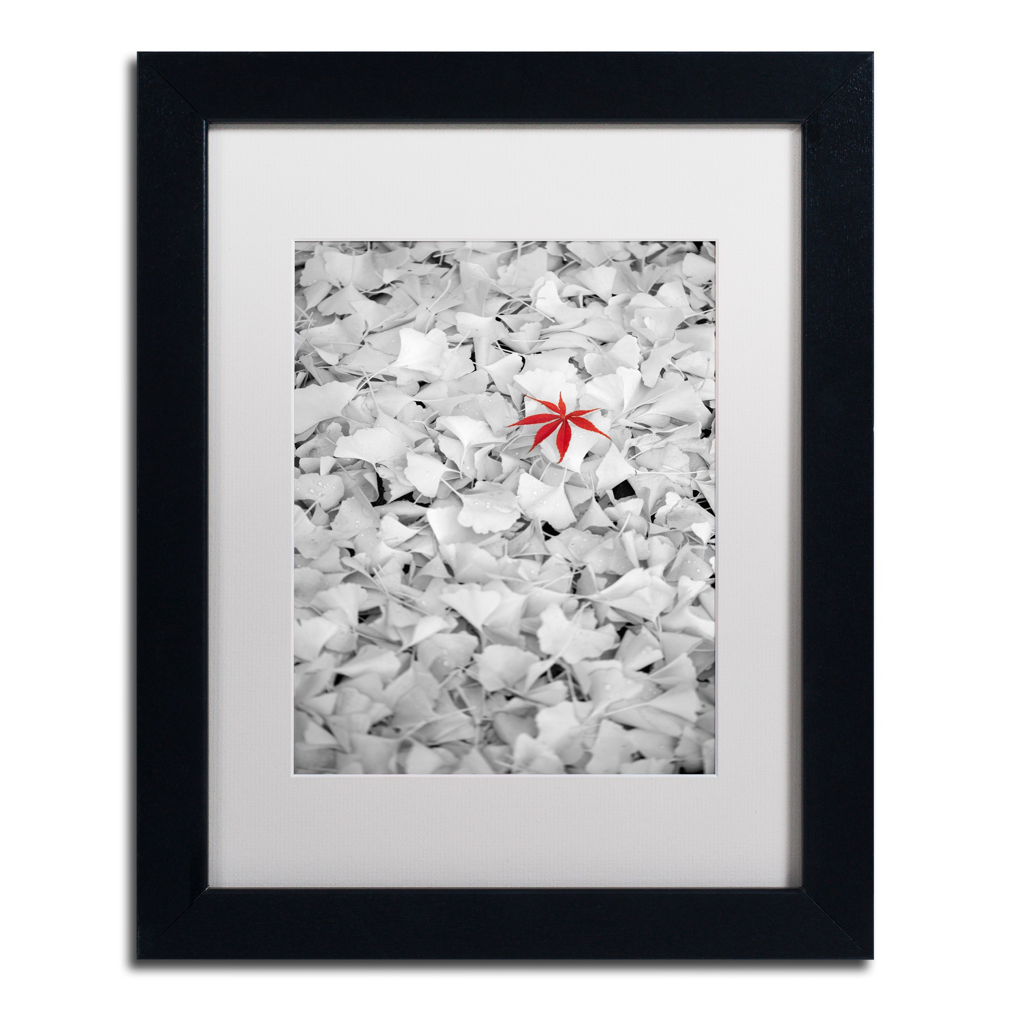 Trademark Fine Art "Rebel Leaf" Canvas Art by Philippe Sainte-Laudy White Matte, Black Frame