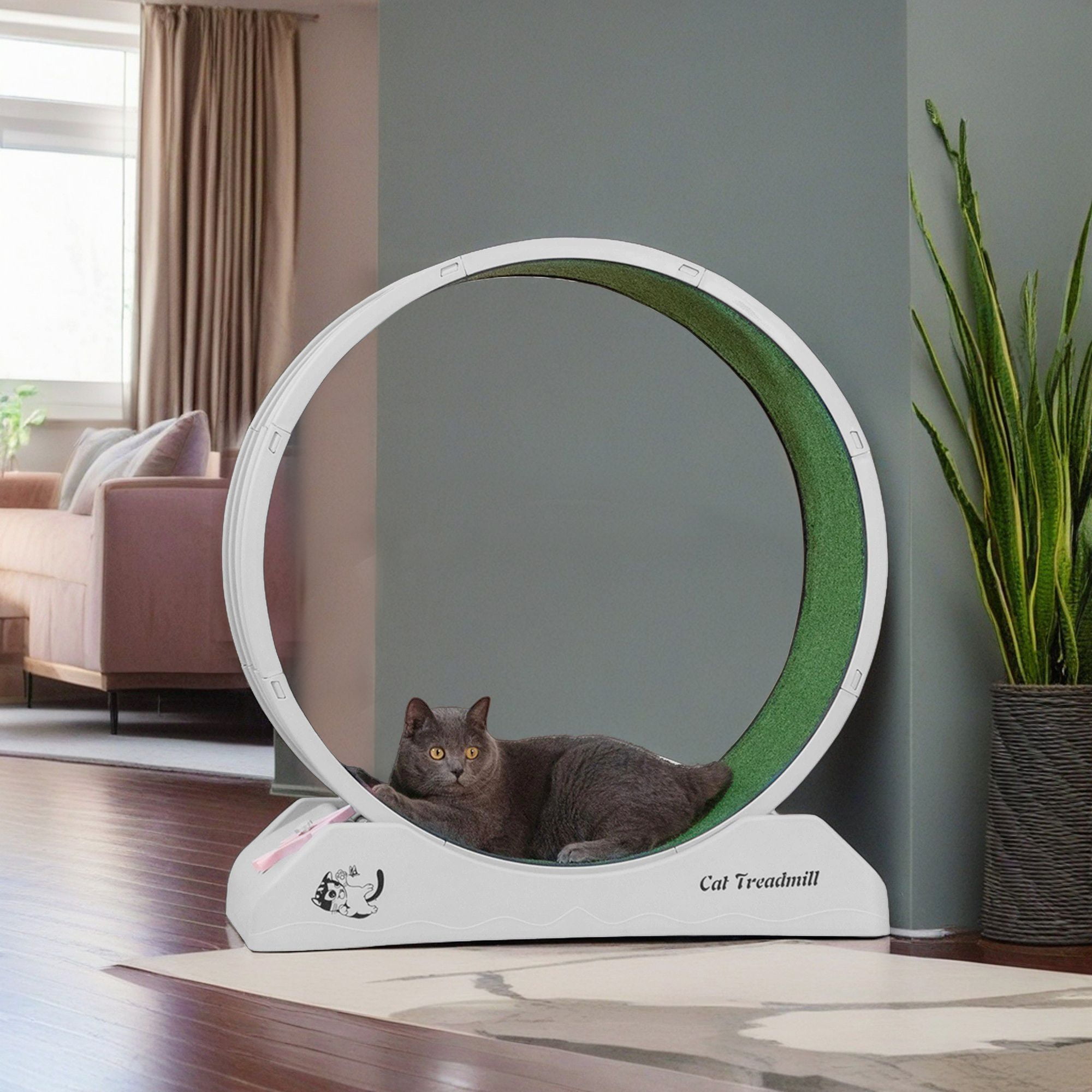 Kadyn 31" Cat Exercise Wheel for Indoor Cats, Large Cat Running Wheels, Easy Assembled Cat Treadmill Wheel with Locking Mechanism, Ultra-Quiet Running for Cat‘s Healthy, Gray