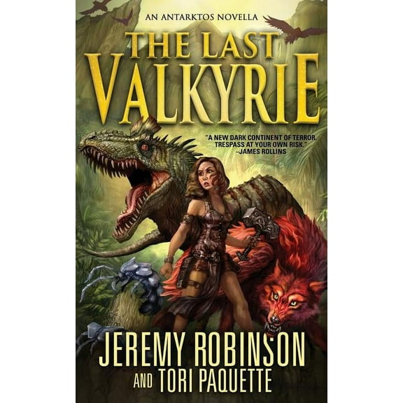 The Last Valkyrie (Paperback)