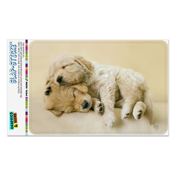 Golden Retriever Puppies Dogs Friends Sleeping Home Business Office Sign